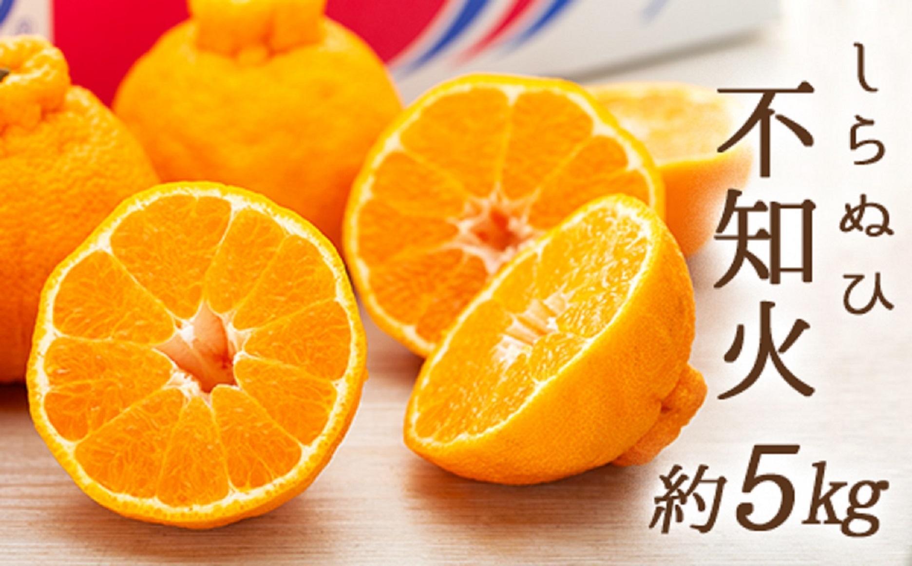 不知火 (しらぬひ) 約5kg（12～28玉入り）