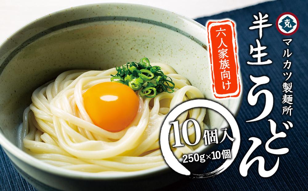 半生うどん 250g×10個 6人家族向け