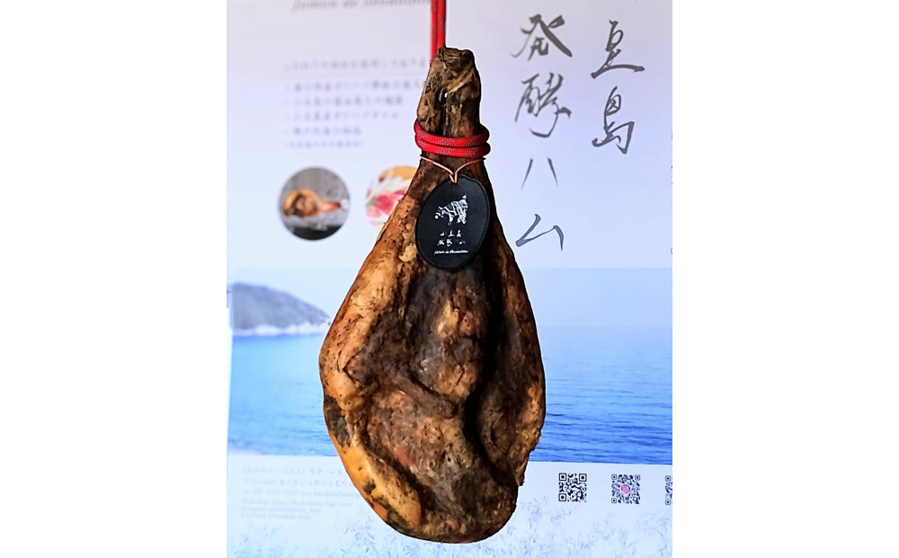 国産生ハム 小豆島発酵ハム 19か月以上発酵熟成【骨付き原木1本】