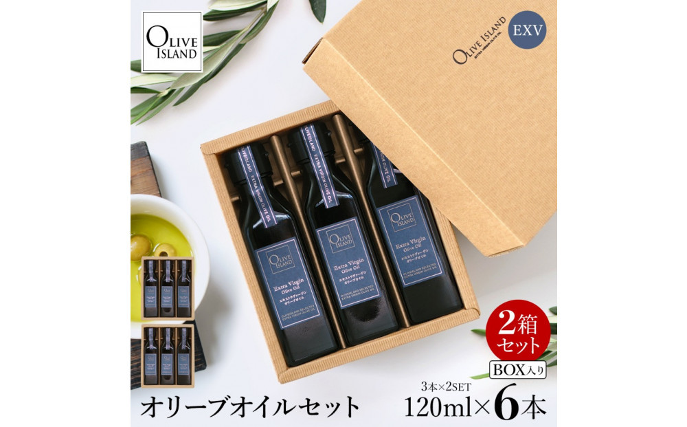 エキストラバージン（EXV）オリーブオイル3本入ギフト2セット（120ml×3本×2）
