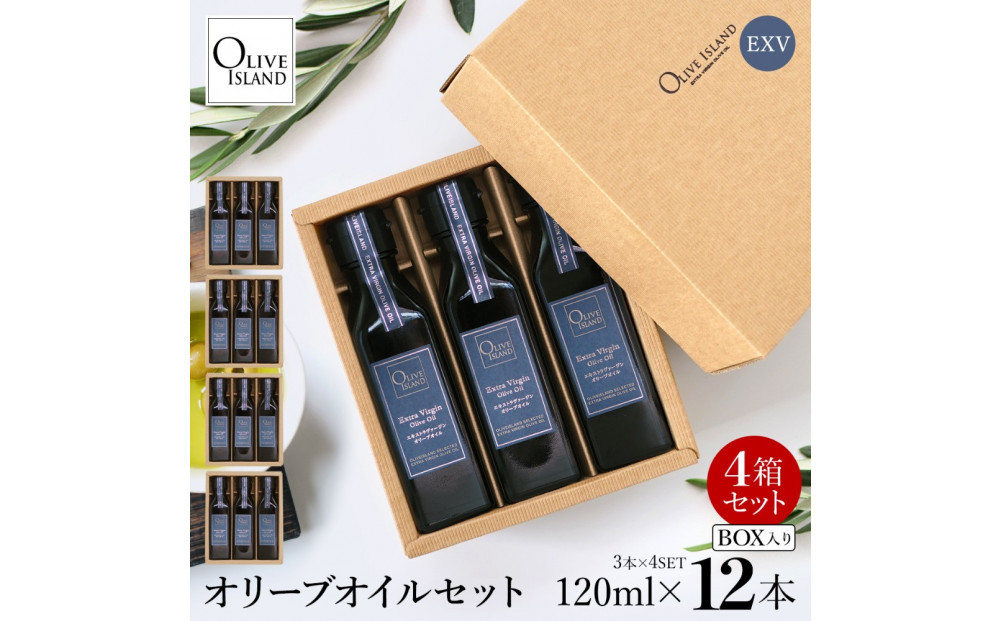 エキストラバージン（EXV）オリーブオイル3本入ギフト4セット（120ml×3本×4）