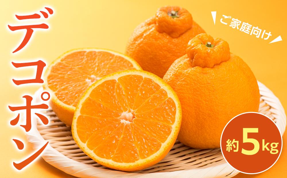 【2026年3月上旬より発送】ご家庭向け！濃厚甘味の「デコポン」約5kg
