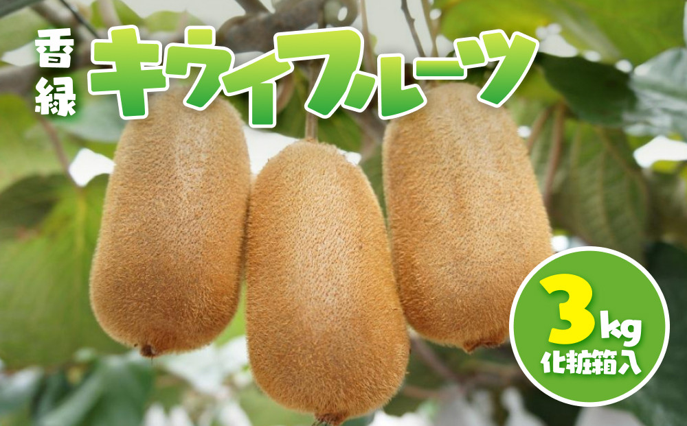 香緑 キウイフルーツ 3kg(化粧箱)