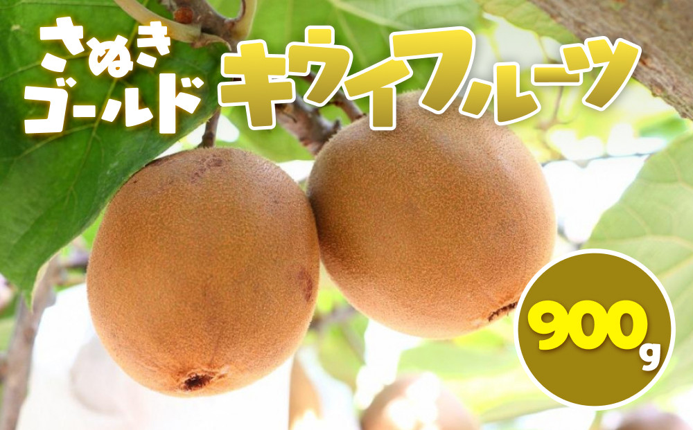 さぬきゴールド キウイフルーツ 900g