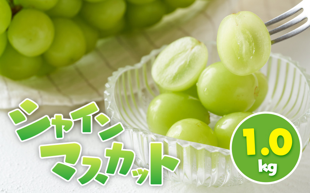 シャインマスカット 1.0kg