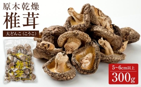 原木乾燥椎茸大どんこ（こうこ）5~6cm以上　300g !