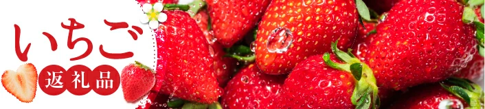 旬の味覚をお届け！いちごの返礼品特集