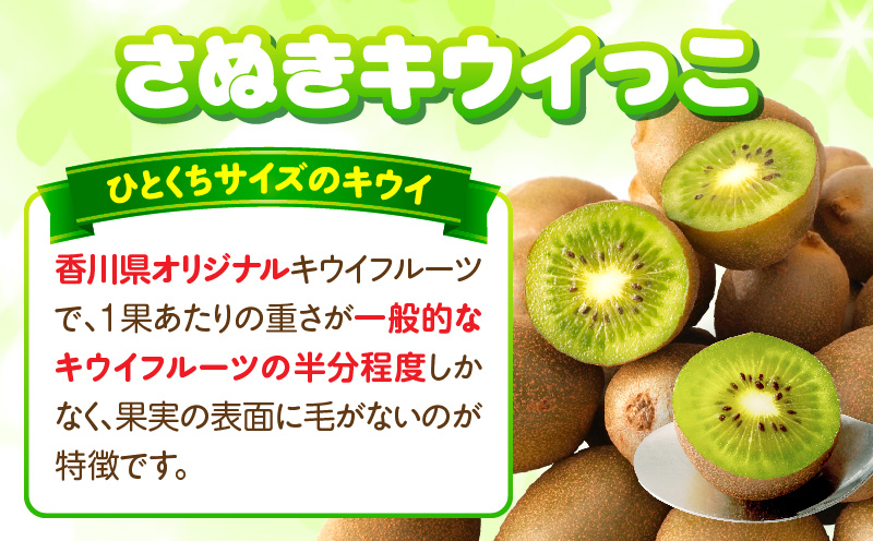 【先行受付】香川県オリジナルキウイフルーツ「さぬきキウイっこ」約2kg【香川県共通返礼品】 | キウイ キウイフルーツ 果物 フルーツ 青果 青果物 さぬきキウイっこ 果実 贈答 贈り物 ギフト 甘い 糖度が高い 季節のフルーツ 旬 おすすめ 香川県 三木町 |_mk006-042