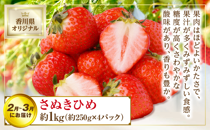 さぬき旬のフルーツ満足 3回定期便 | フルーツ定期便 果物 フルーツ 青果 青果物 いちご みかん シャインマスカット さぬきひめ 小原紅早生みかん マスカット 旬の果物 季節の果物 贈答 贈り物 ギフト 化粧箱 取り寄せ 香川県 三木町 送料無料 |_mk006-t013