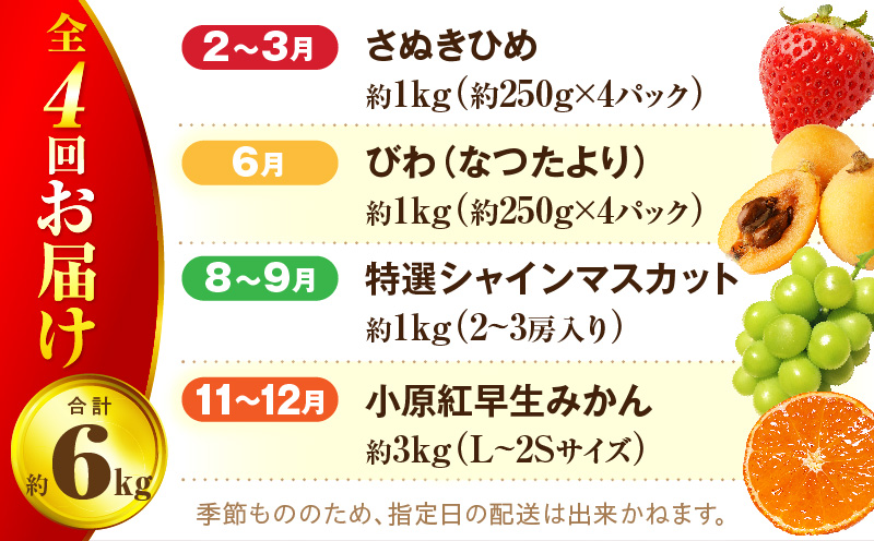 さぬき旬のフルーツお楽しみ 4回定期便 | 果物 フルーツ 青果 青果物 いちご びわ みかん シャインマスカット さぬきひめ 小原紅早生みかん マスカット なつたより 旬の果物 季節の果物 贈答 贈り物 ギフト 化粧箱 取り寄せ 香川県 三木町 送料無料 |_mk006-t015