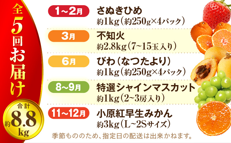 さぬき旬のフルーツ満足 5回定期便 | 果物 フルーツ 青果 青果物 いちご みかん シャインマスカット びわ さぬきひめ 小原紅早生みかん マスカット なつたより 不知火 旬の果物 季節の果物 贈答 贈り物 ギフト 化粧箱 取り寄せ 香川県 三木町 送料無料 |_mk006-t016