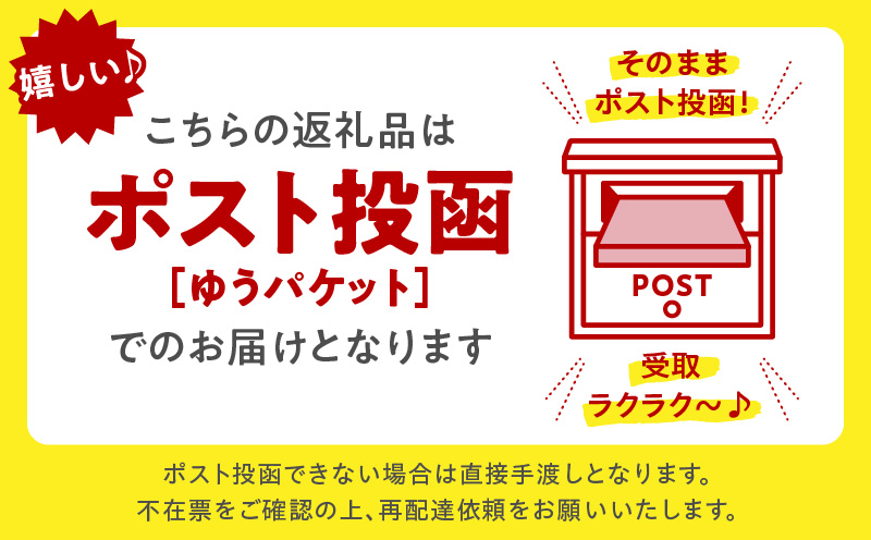【ゆうパケット】包丁切りさぬきうどん 半生 300g（つゆ付き） | うどん つゆ だし セット おすすめ 人気 名物 料理 出汁セット グルメ うどんセット 半生うどん ギフト 小分け 出汁付き |_mk041-015-01