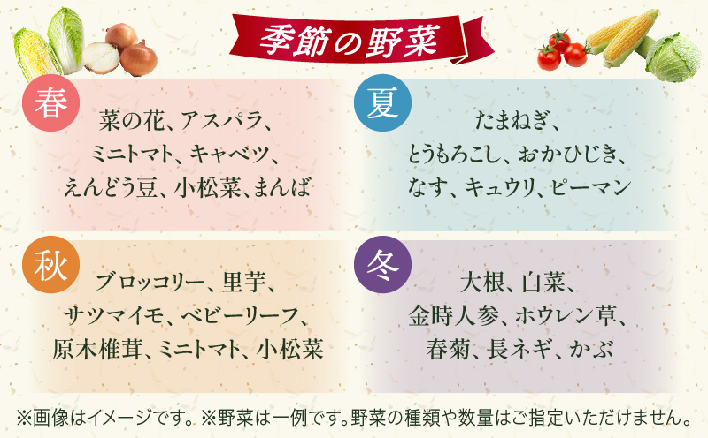 プチマルシェお野菜ボックス(Ｍ)　季節の野菜８～９種類　≪　IDOMALL　セレクト≫|野菜 新鮮 冷蔵 旬 香川県 野菜ボックス 季節の野菜 青果物 季節 マルシェ 冷蔵 おすすめ|_mk048-004