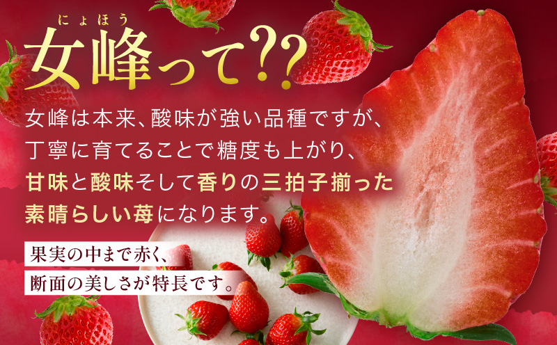 【苺ファーム森本】女峰いちご 小パック180ｇ×4パック ≪IDOMALL セレクト≫|いちご ストロベリー 女峰 苺 冷蔵 フルーツ 旬 果物 香川県 デザート 青果物 贈答 プレゼント パック 贈り物 おすすめ|_mk048-007