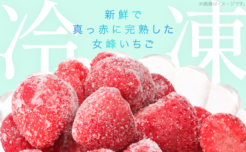 【苺ファーム森本】完熟女峰の冷凍いちご 450g×2袋 ≪IDOMALL セレクト≫|スイーツ いちご ストロベリー 女峰 苺 ジャム いちごジャム 冷凍 フルーツ 旬 果物 香川県 デザート 青果物 贈答 プレゼント 贈り物 おすすめ|_mk048-010