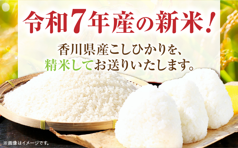 【令和7年産】香川県産こしひかり 10kg（紙袋配送）|新米 コシヒカリ こしひかり 10kg 米 白米 ごはん ご飯 朝食 白ご飯 おにぎり お弁当 おむすび お米 国産 美味しい ツヤ モチモチ 精米 おすすめ 香川県 三木町 |_mk132-110-02