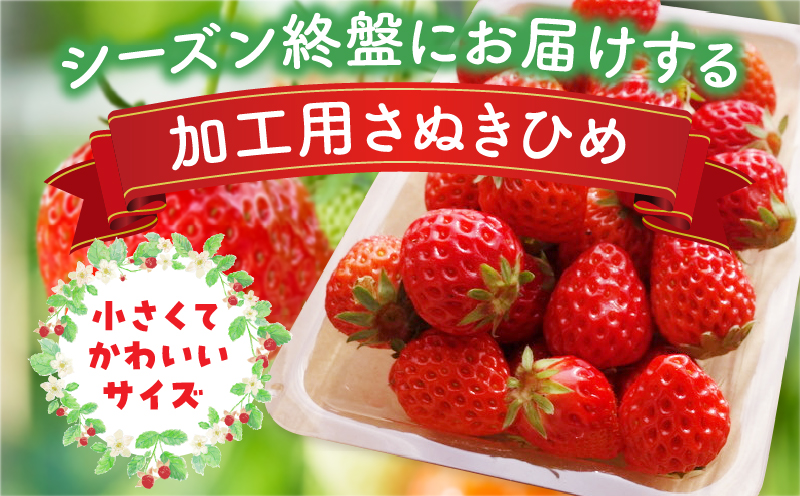 【2026年発送分 先行受付】苺音クラフト?加工用さぬきひめいちご約2kg | おすすめ 人気 果実 果肉 果物 フルーツ デザート 贈り物 苺 さぬきひめ 贈答 ご褒美 旬の果物 季節の果物 旬 季節 青果物 香川県 三木町 |_mk137-007