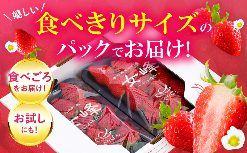 あぐりぼん　いちご「女峰」　約260gパック×2個（約520g）|いちご 果物 フルーツ デザート ストロベリー 果肉 スイーツ 甘い 国産 贈り物 贈答 プレゼント グルメ 人気 おすすめ 季節 旬 旬の果物 香川県 三木町 送料無料|_mk144-008