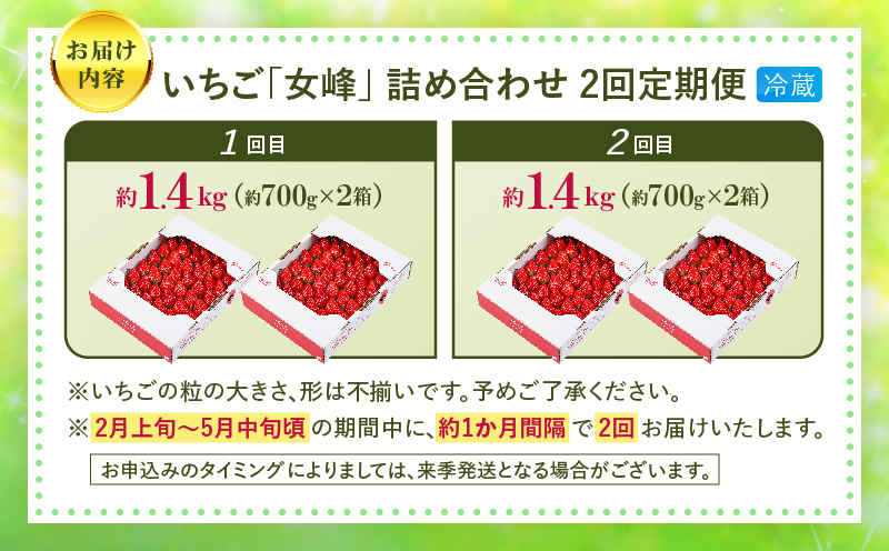 あぐりぼん「女峰」詰め合わせ 2回定期便| いちご 果物 フルーツ 定期便 女峰 希少 デザート ストロベリー 果肉 スイーツ 甘い 国産 贈り物 贈答 プレゼント グルメ 人気 おすすめ 季節 旬 旬の果物 詰め合わせ|_mk144-t001