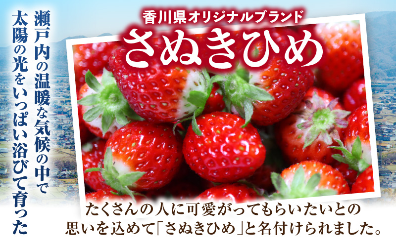 大粒いちご　極甘さぬき姫 約260g | 果物 フルーツ いちご フレッシュ ジューシー 香り 爽やか 春 真っ赤 旬の果物 人気 おすすめ 贈答 贈り物 青果物 糖度 香川県 三木町 |_mk165-015