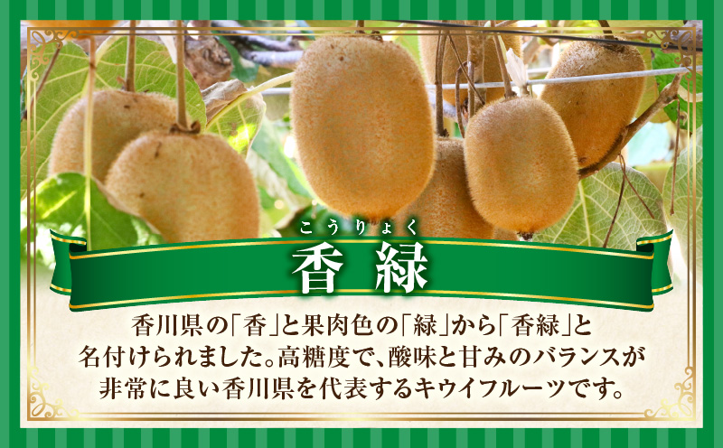 キウイ　美しい緑が鮮やかな　香緑 約750g | 果物 フルーツ 香緑 こうりょく キウイ グリーン フレッシュ ジューシー 香り 爽やか 旬の果物 人気 おすすめ 贈答 贈り物 青果物 糖度 香川県 三木町 |_mk165-018
