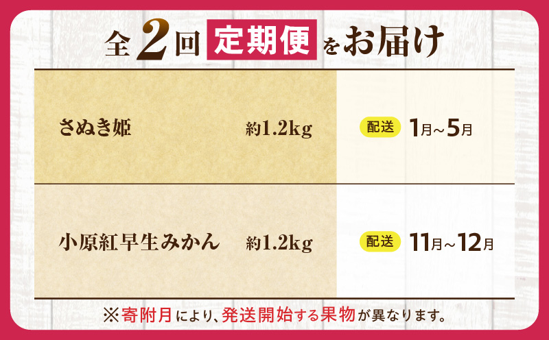 とれたて果物 2回定期便D 果物 フルーツ 果物定期便 フルーツ定期便 定期便 いちご みかん 濃厚 旬の果物 定期 人気 おすすめ 贈答 贈り物 青果物 糖度 香川県 _mk165-t054