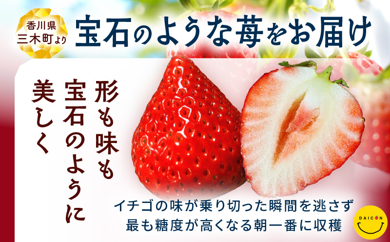 【先行予約】DAICONファーム さぬきひめJEWEL BOX（さぬきひめ苺 4箱（8パック）約2kg）| いちご 苺 果物 果実 果汁 青果物 フルーツ 旬のフルーツ ご褒美 贈答 贈り物 人気 おすすめ 化粧箱 スイーツ デザート 旬 旬の果物 |_mk170-002