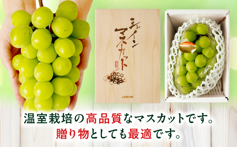 温室シャインマスカット　1房化粧箱入り(580g以上) | マスカット ハウス ぶどう ブドウ 葡萄 果物 フルーツ 人気 香川 香川県 三木町 種なし 皮ごと食べられる ジューシー 化粧箱 旬 おすすめ |_mk006-033