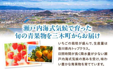 さぬき旬のフルーツ大満足　12回定期便|定期便 キウイ いちご 女峰 みかん 不知火 さぬきひめ デコポン びわ なつたより ぶどう ピオーネ シャインマスカット 大房 さぬきゴールド 小原紅早生 化粧箱 香緑 香川 毎月配送|_mk006-t009d