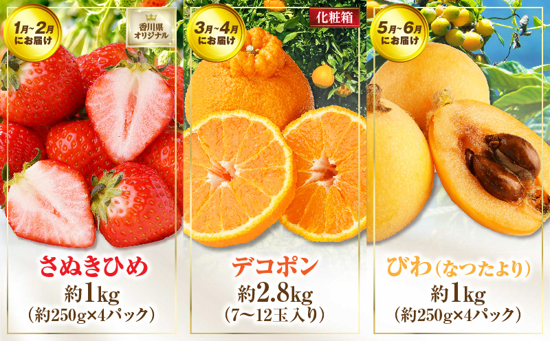 さぬき旬のフルーツ大満足　6回定期便|果物 果物定期便 定期便 フルーツ フルーツ定期便 シャインマスカット ゴールドキウイ いちご 旬 旬の果物 旬の果物定期便 キウイ 贈答 贈り物 デザート スイーツ 果肉 果汁 香川県 三木町 送料無料|_mk006-t011