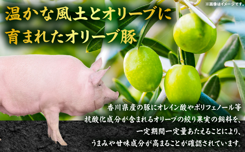 オリーブ豚ロース極厚ステーキ 計1000g【高松市共通返礼品】｜国産 国産豚 オリーブ豚 豚肉 1000g 1kg ブランド豚 ロース 極厚 お肉 豚 冷凍 とんかつ ステーキ 日用 贈答 贈り物 香川県 三木町｜_mk017-007