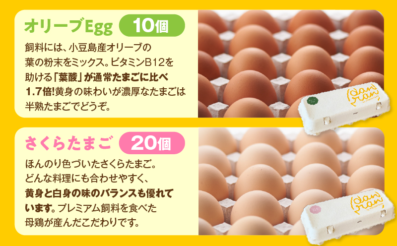 danranバラエティたまごセット　M4|卵 新鮮卵 オリーブEgg さくらたまご 平飼いたまご 白たまご 醤油 たまごかけ醤油 食べ比べ セット|_mk095-001