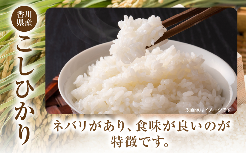 【令和7年産】香川県産こしひかり 15kg（紙袋配送）|新米 コシヒカリ こしひかり 15kg 米 白米 ごはん ご飯 朝食 白ご飯 おにぎり お弁当 おむすび お米 国産 美味しい ツヤ モチモチ 精米 おすすめ 香川県 三木町 |_mk132-110-03