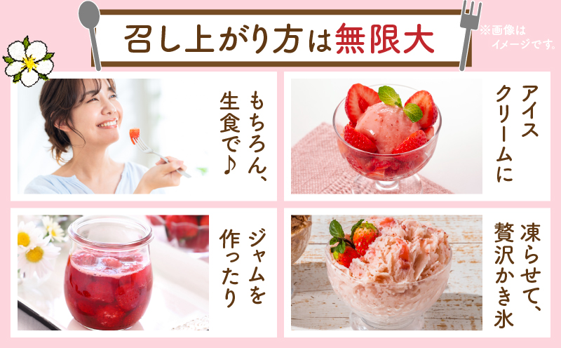 【2026年発送分 先行受付】苺音クラフト?加工用さぬきひめいちご約2kg | おすすめ 人気 果実 果肉 果物 フルーツ デザート 贈り物 苺 さぬきひめ 贈答 ご褒美 旬の果物 季節の果物 旬 季節 青果物 香川県 三木町 |_mk137-007