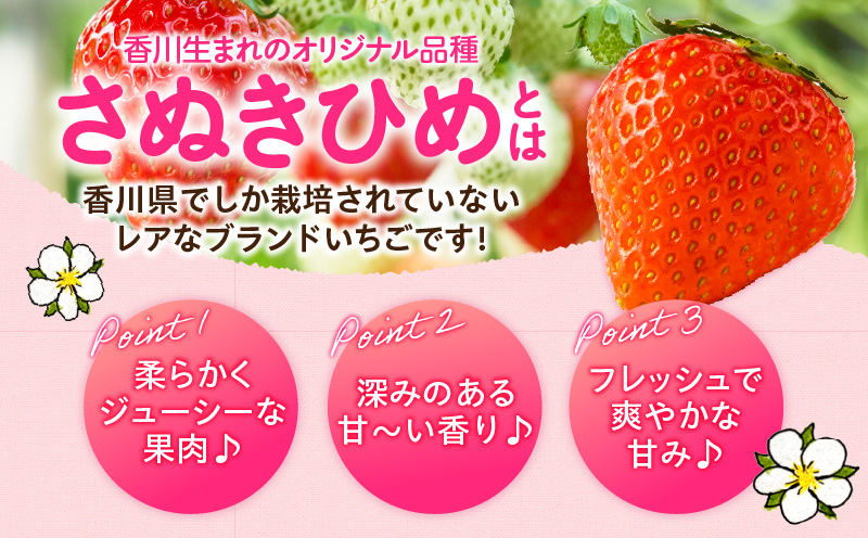 【2026年発送分 先行受付】苺音エコノミー　?さぬきひめいちご約1,280g?3回定期便 | おすすめ 人気 果実 果肉 果物 フルーツ デザート 贈り物 苺 さぬきひめ 贈答 ご褒美 ギフト 旬の果物 季節の果物 旬 季節 青果物 香川県 三木町 |_mk137-t001