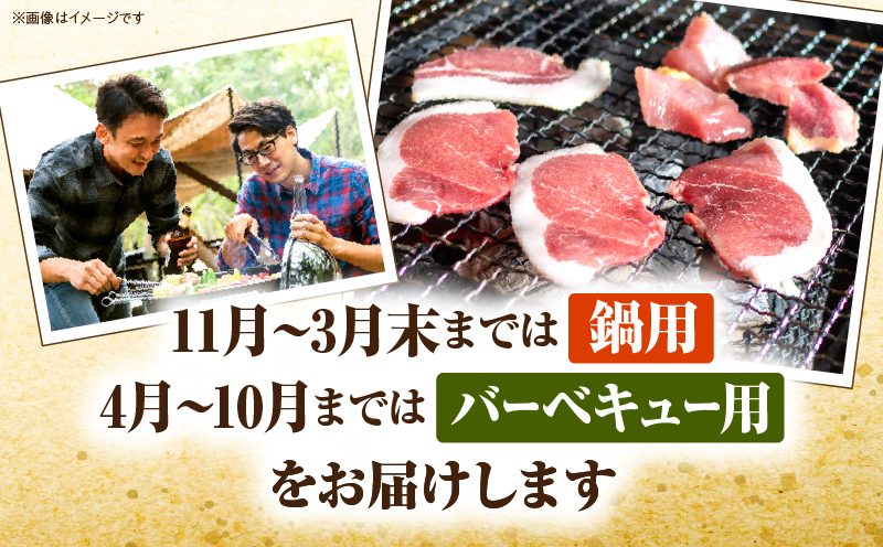 香川県産　イノシシ肉　300g×3パック　ジビエ　牡丹鍋|肉 イノシシ肉 ジビエ 冷凍 香川県 三木町|_mk141-001