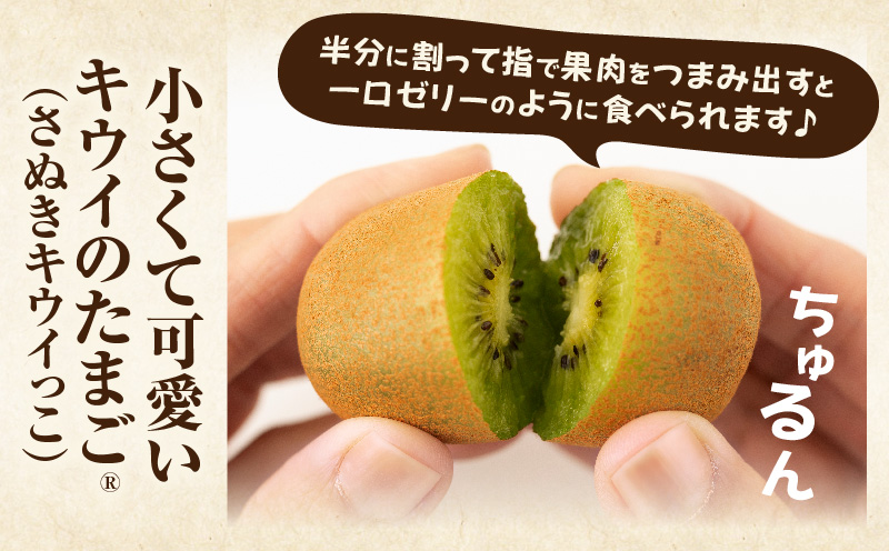 キウイフルーツ(キウイのたまご®)(キウイっこ) 1.8kg×2箱 | キウイ フルーツ 果物 旬 旬の果物 キウイフルーツ デザート 生鮮食品 贈り物 贈答 お裾分け おすすめ 人気 ギフト グルメ 特産品 果肉 季節 季節の果物 香川県 三木町 |_mk165-009