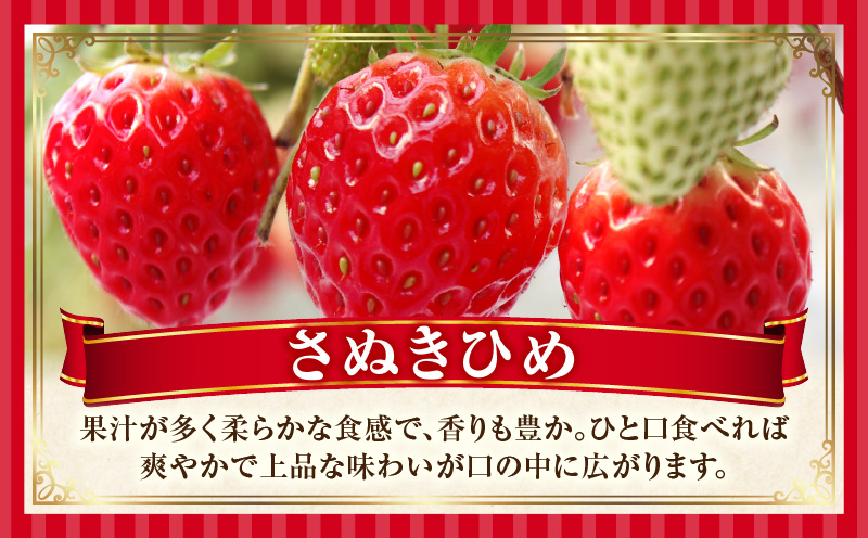 大粒いちご　極甘さぬき姫 約260g | 果物 フルーツ いちご フレッシュ ジューシー 香り 爽やか 春 真っ赤 旬の果物 人気 おすすめ 贈答 贈り物 青果物 糖度 香川県 三木町 |_mk165-015