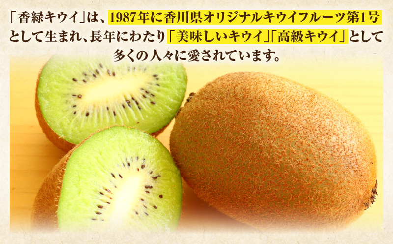 キウイ　美しい緑が鮮やかな　香緑 約750g | 果物 フルーツ 香緑 こうりょく キウイ グリーン フレッシュ ジューシー 香り 爽やか 旬の果物 人気 おすすめ 贈答 贈り物 青果物 糖度 香川県 三木町 |_mk165-018