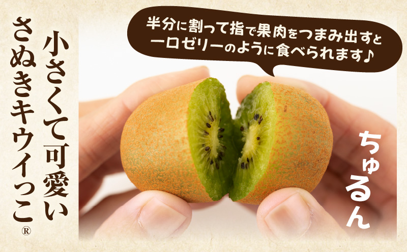 こつぶでちゅるん　さぬきキウイっこ 約1.2kg |果物 フルーツ さぬき キウイっこ キウイフルーツ グリーン キウイ 小さい 濃厚 フレッシュ ジューシー 香り 爽やか 旬の果物 人気 おすすめ 贈答 贈り物 青果物 糖度 香川県 三木町 |_mk165-020
