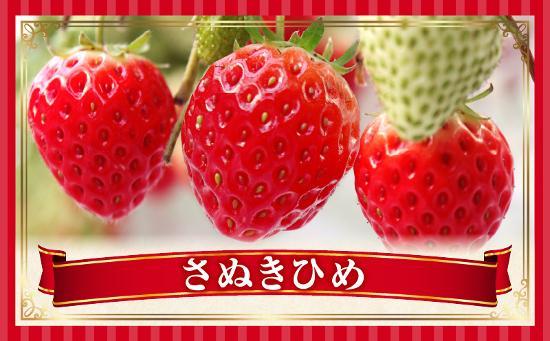 とれたて果物 3回定期便D 果物 フルーツ 果物定期便 フルーツ定期便 定期便 いちご キウイ濃厚 旬の果物 定期 人気 おすすめ 贈答 贈り物 青果物 糖度 香川県 _mk165-t068