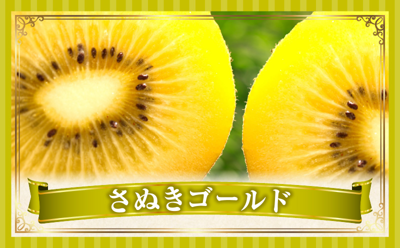 とれたて果物 3回定期便G 果物 フルーツ 果物定期便 フルーツ定期便 定期便 キウイ デコポン 濃厚 旬の果物 定期 人気 おすすめ 贈答 贈り物 青果物 糖度 香川県 _mk165-t071