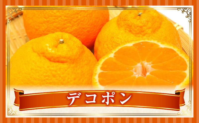 とれたて果物 3回定期便H 果物 フルーツ 果物定期便 フルーツ定期便 定期便キウイデコポンみかん 濃厚 旬の果物 定期 人気 おすすめ 贈答 贈り物 青果物 糖度 香川県 _mk165-t072