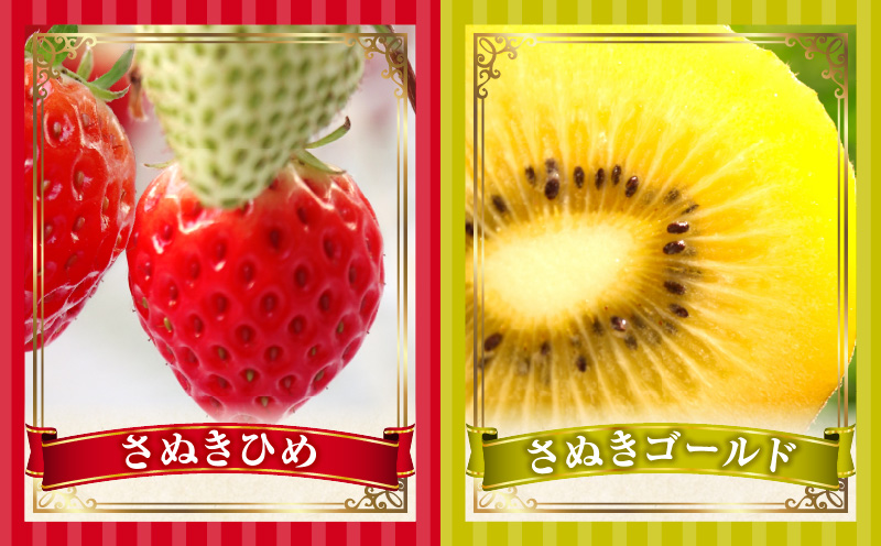 とれたて果物 5回定期便A 果物 フルーツ 果物定期便 フルーツ定期便 定期便 いちご キウイ デコポンみかん 濃厚 旬の果物 定期 人気 おすすめ 贈答 贈り物 青果物 糖度 香川県 _mk165-t080