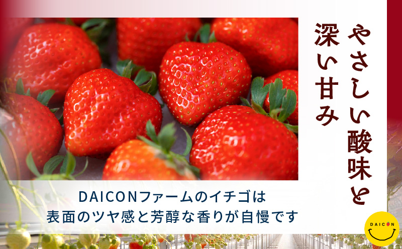 【先行予約】DAICONファーム さぬきひめJEWEL BOX（さぬきひめ苺 4箱（8パック）約2kg）| いちご 苺 果物 果実 果汁 青果物 フルーツ 旬のフルーツ ご褒美 贈答 贈り物 人気 おすすめ 化粧箱 スイーツ デザート 旬 旬の果物 |_mk170-002