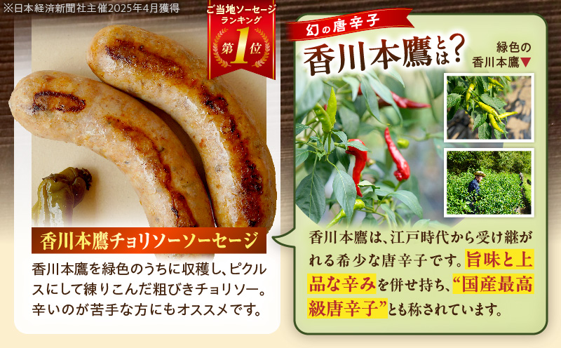 ドイツ食肉マイスターが作るソーセージアソート | ソーセージ 生ソーセージ 手作り 国産 お取り寄せ ギフト 粗挽き おつまみ キャンプ BBQ お弁当 チョリソー ハーブ フレッシュ ジューシー ディナー ビールに合う |_mk003-003