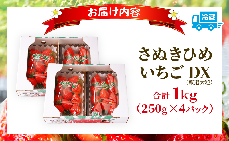 【先行受付】【年内発送】三木町地域いちご部会「さぬきひめ」約1kgDXパック | スイーツ いちご ストロベリー イチゴ さぬき姫 さぬきひめ 苺 甘い 大粒 冷蔵 フルーツ 旬 果物 香川県 デザート 青果物 贈答 プレゼント 贈り物 おすすめ |_mk006-016