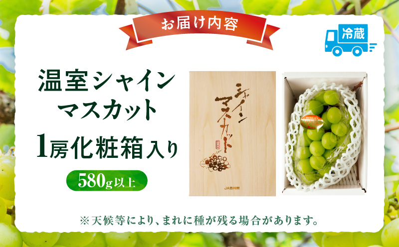 温室シャインマスカット　1房化粧箱入り(580g以上) | マスカット ハウス ぶどう ブドウ 葡萄 果物 フルーツ 人気 香川 香川県 三木町 種なし 皮ごと食べられる ジューシー 化粧箱 旬 おすすめ |_mk006-033