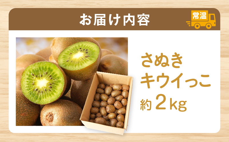 【先行受付】香川県オリジナルキウイフルーツ「さぬきキウイっこ」約2kg【香川県共通返礼品】 | キウイ キウイフルーツ 果物 フルーツ 青果 青果物 さぬきキウイっこ 果実 贈答 贈り物 ギフト 甘い 糖度が高い 季節のフルーツ 旬 おすすめ 香川県 三木町 |_mk006-042