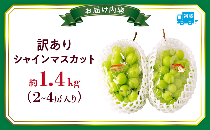 【2026年8月18日～10月20日配送】訳ありシャインマスカット 約1.4kg入り 2～4房|訳あり マスカット ぶどう ブドウ 葡萄 果物 フルーツ 人気 香川 香川県 三木町 種なし 皮ごと食べられる ジューシー 糖度が高い 先行受付 先行予約 季節限定 旬 おすすめ|_mk006-049-2